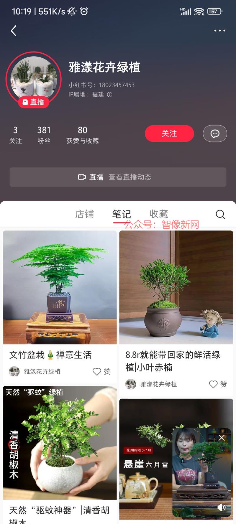 小红书办公室文竹绿植盆…#情报-搞钱情报论坛-网创交流-智像新网